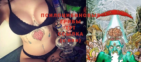 амф Алзамай